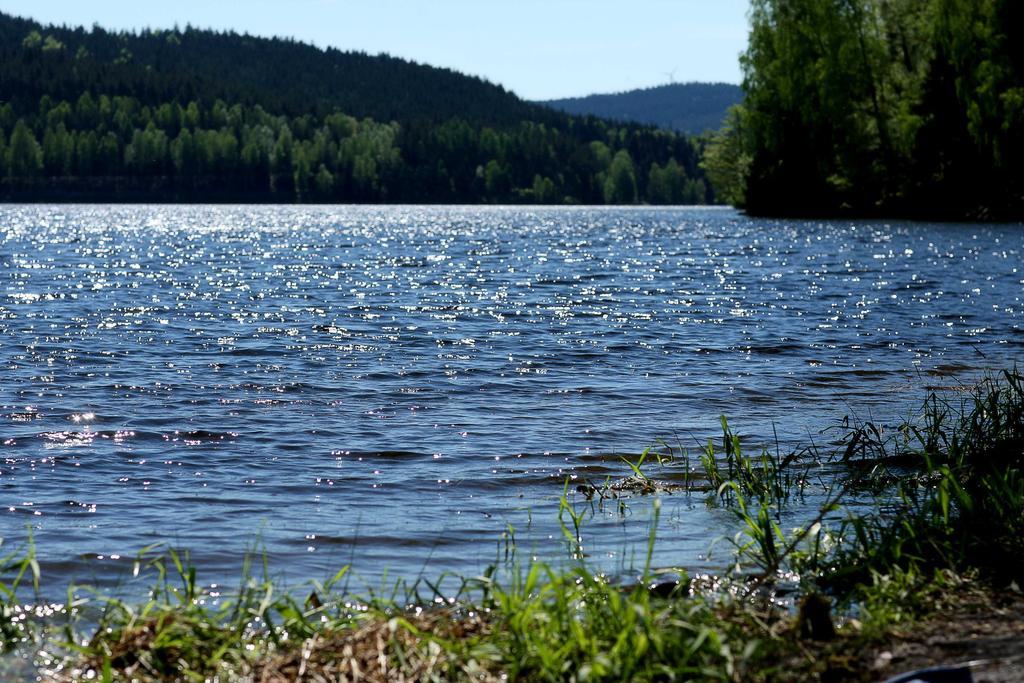Apartmany Bella Vista Lipno Frydava Екстериор снимка