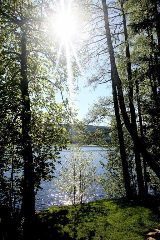 Apartmany Bella Vista Lipno Frydava Екстериор снимка