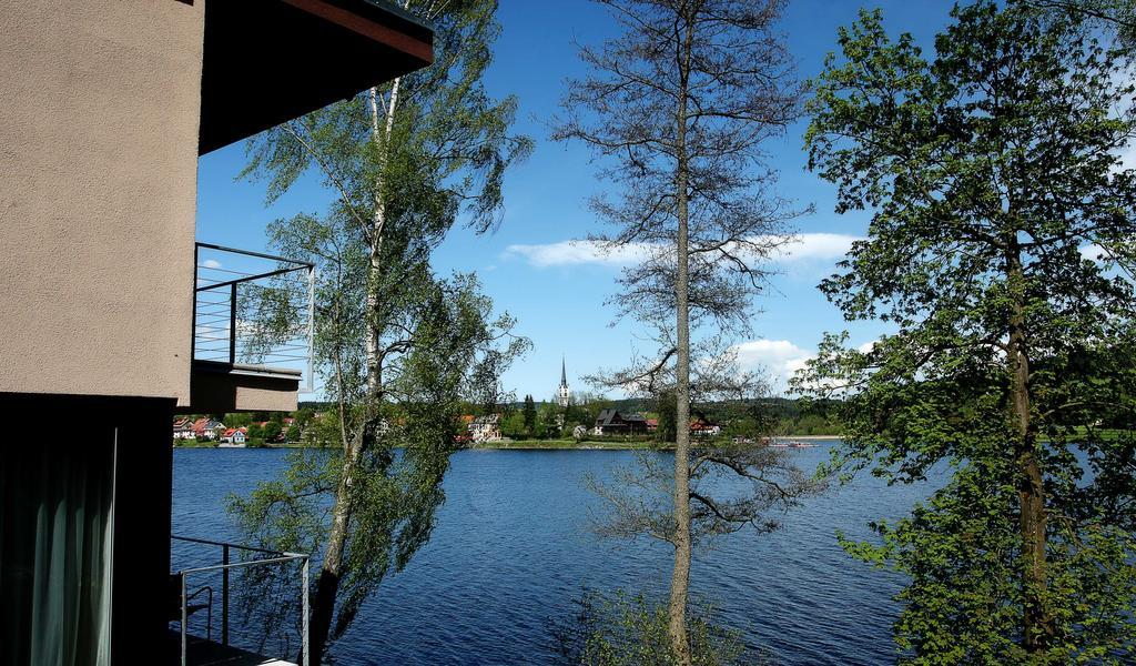 Apartmany Bella Vista Lipno Frydava Екстериор снимка