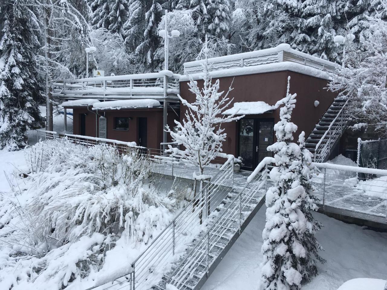 Apartmany Bella Vista Lipno Frydava Екстериор снимка